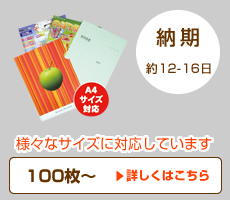 A3/B5/A5/A6特寸タイプ