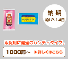 ハンディタイプ10枚入